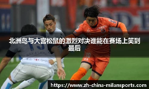 北洲岛与大宫松鼠的激烈对决谁能在赛场上笑到最后