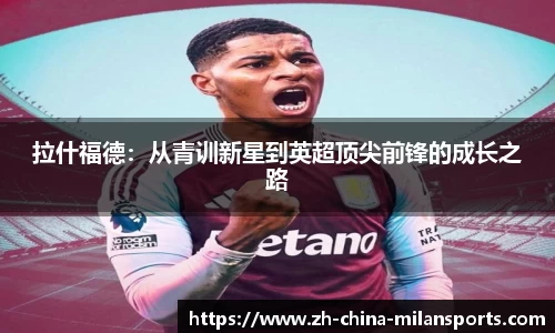 APP下载