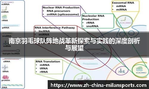 南京羽毛球队阵地战革新探索与实践的深度剖析与展望